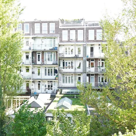 Onefam Amstel-3